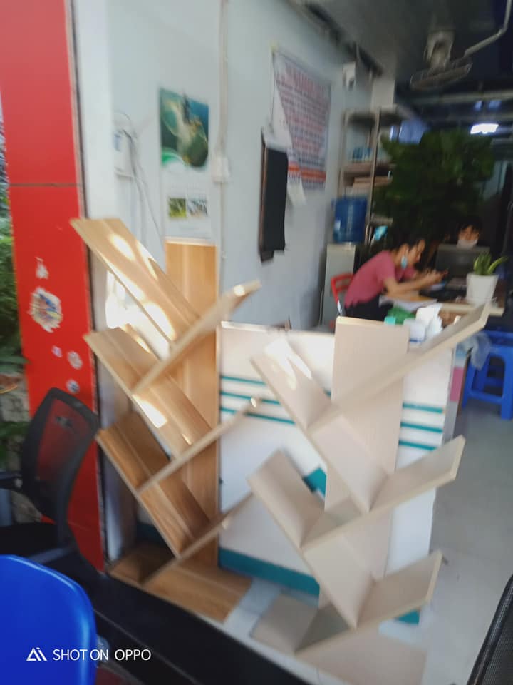 Kệ Ngang Trang Trí Xương Rồng Gỗ Công Nghiệp Hải Phòng.